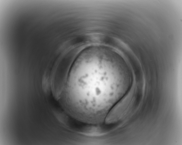 X0000088650552200706011223