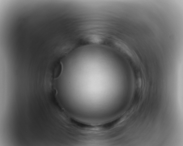 X0000088650553200706011223