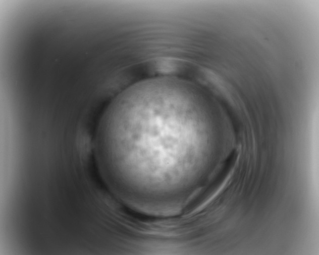 X0000088650555200706011223