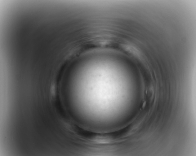 X0000088650556200706011223