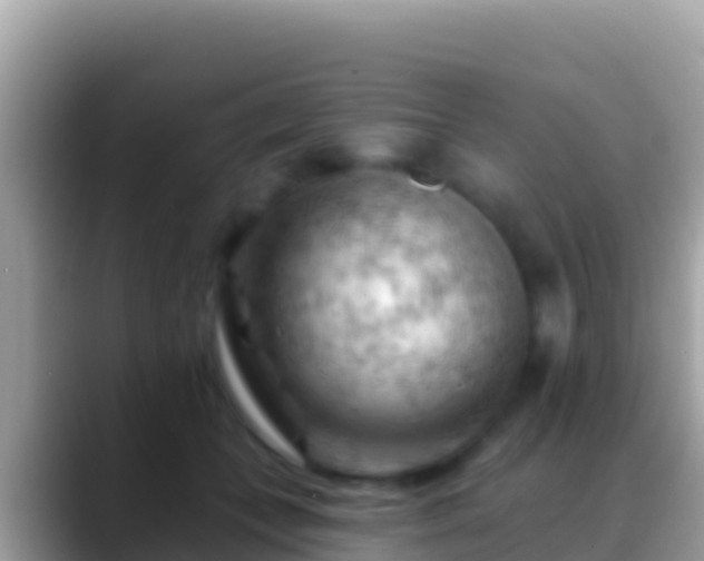 X0000088650559200706011223