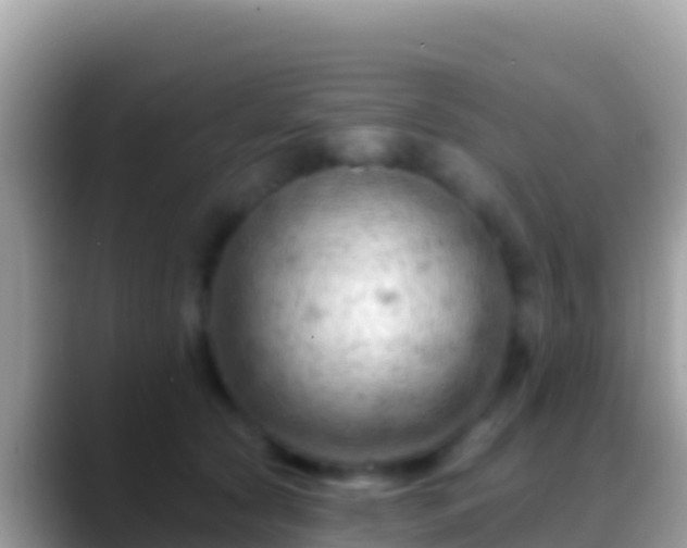 X0000088650561200706011223