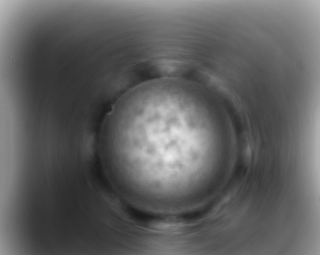 X0000088650563200706011223