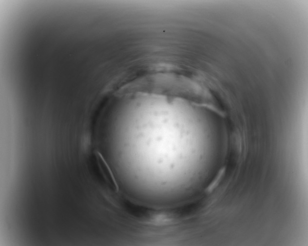 X0000088650564200706011223