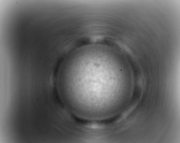 X0000088650565200706011223