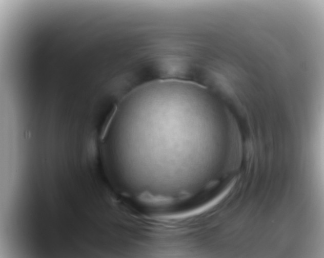 X0000088650570200706011223