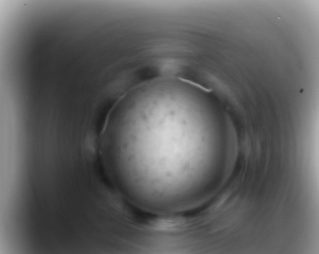 X0000088650571200706011223