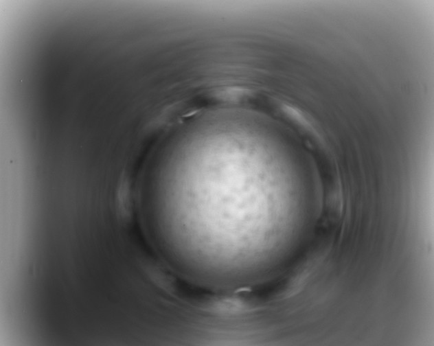 X0000088650572200706011223