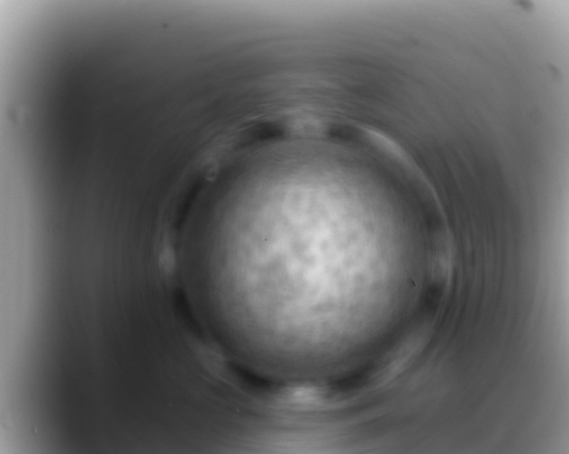 X0000088650573200706011223