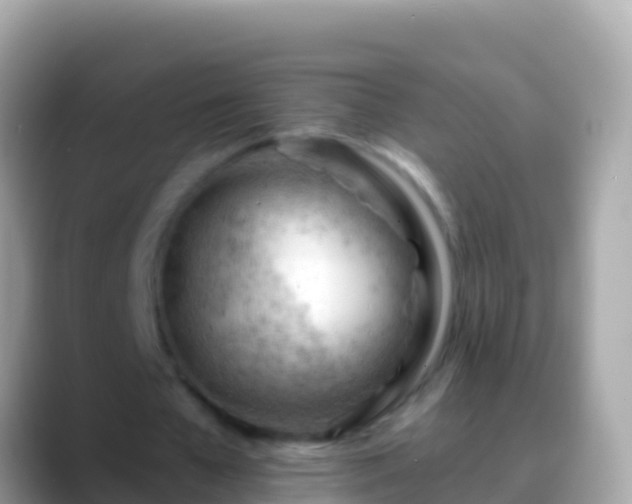 X0000088650577200706011223