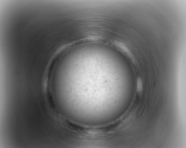 X0000088650579200706011222