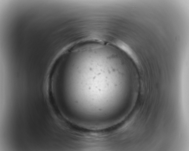 X0000088650580200706011222