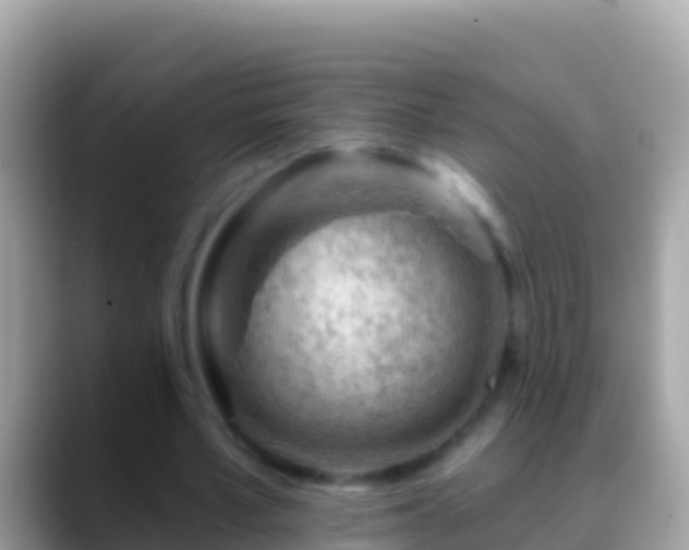 X0000088650581200706011222