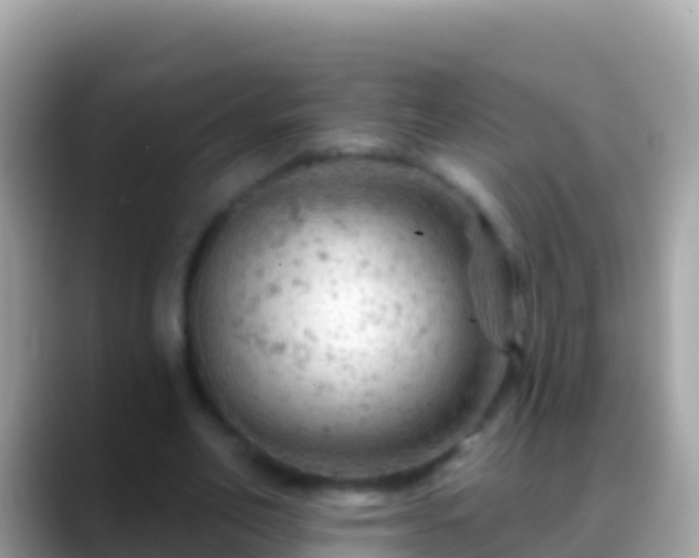 X0000088650582200706011222