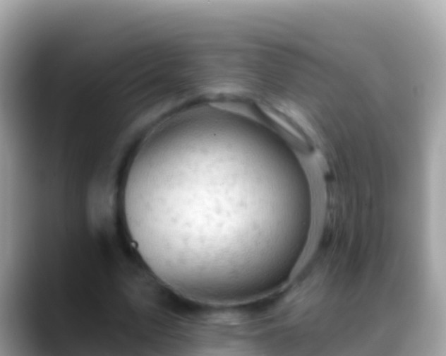 X0000088650583200706011222