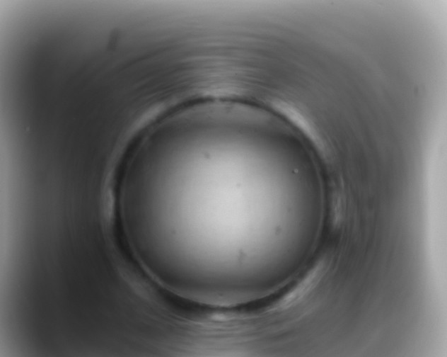 X0000088650584200706011222