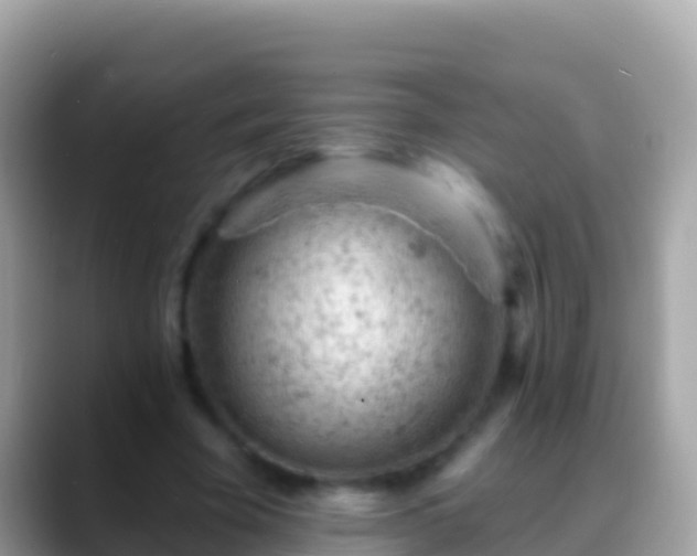 X0000088650585200706011222