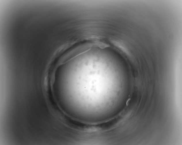 X0000088650587200706011222