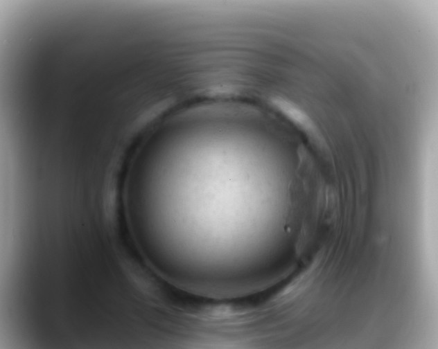 X0000088650588200706011222