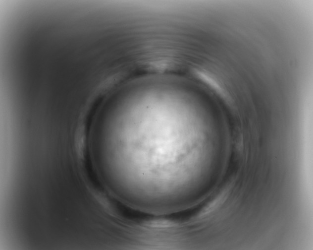 X0000088650590200706011222