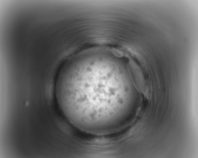 X0000088650591200706011222