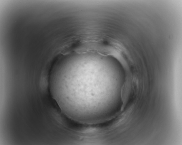 X0000088650593200706011222