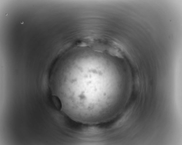 X0000088650594200706011222