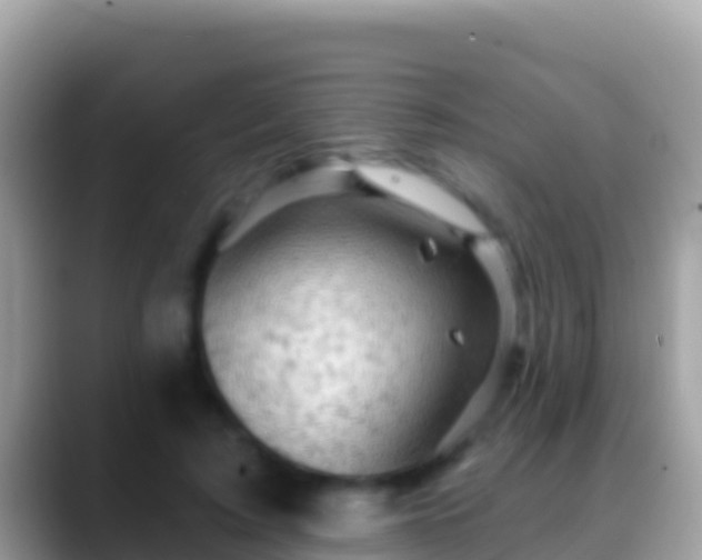 X0000088650595200706011222