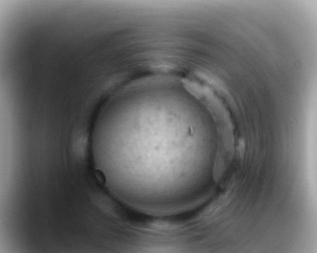 X0000088650596200706011222