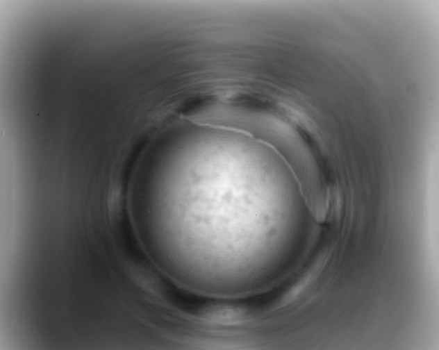 X0000088650597200706011222