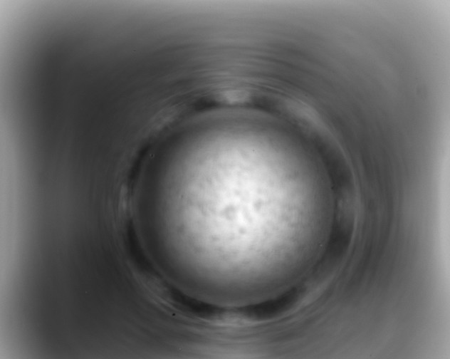 X0000088650598200706011222