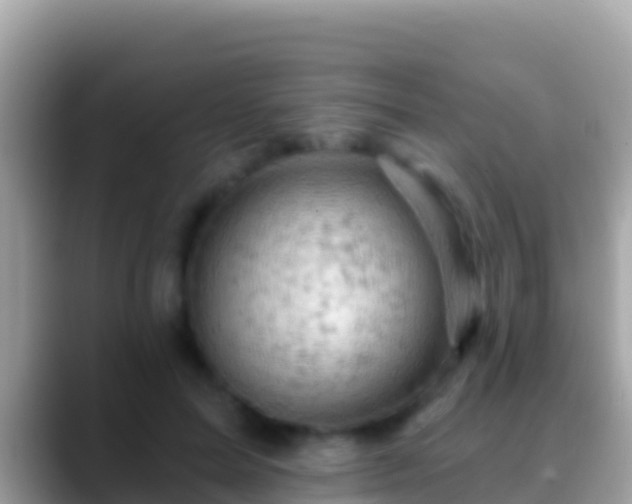 X0000088650599200706011222