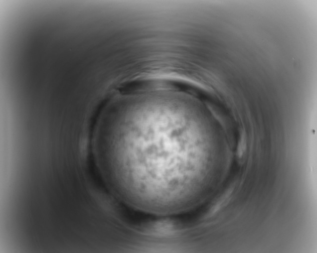 X0000088650600200706011222