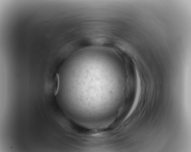 X0000088650601200706011222