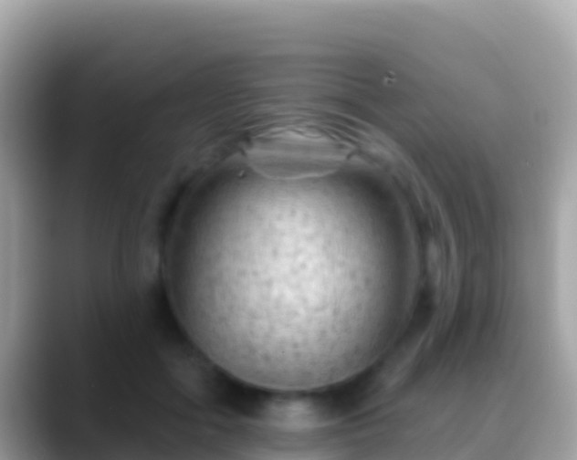 X0000088650602200706011222