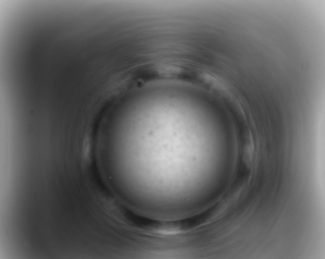 X0000088650604200706011222