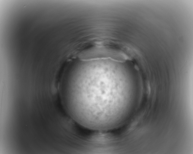 X0000088650607200706011222