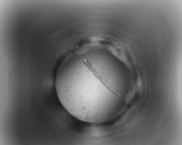 X0000088650608200706011222