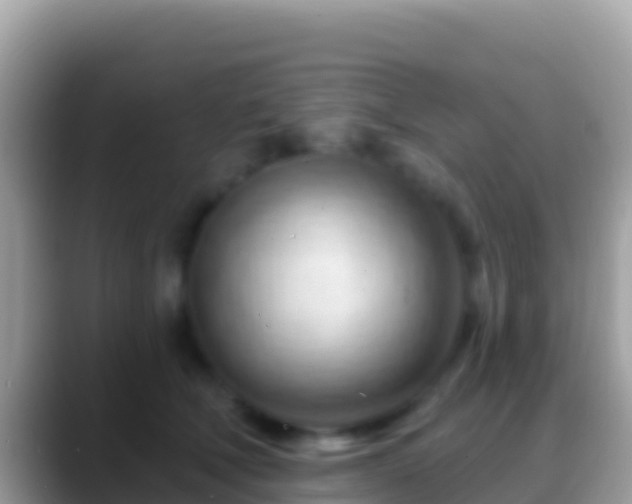 X0000088650610200706011222