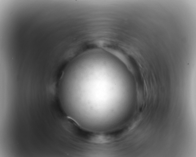 X0000088650611200706011222