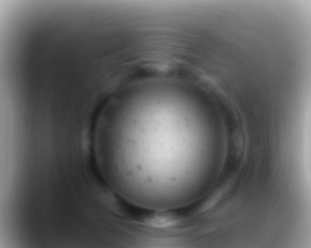 X0000088650612200706011222