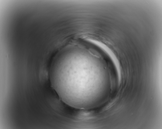 X0000088650613200706011222