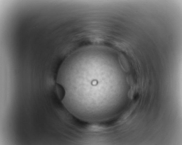 X0000088650614200706011222