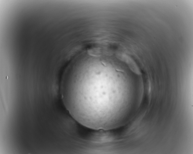 X0000088650615200706011222