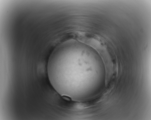 X0000088650616200706011222