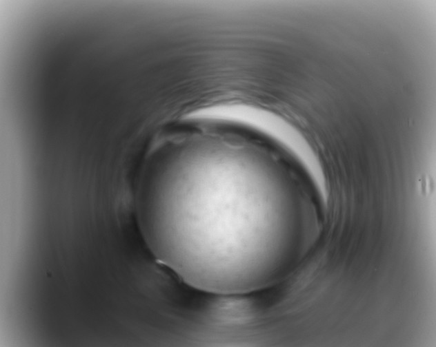 X0000088650617200706011222