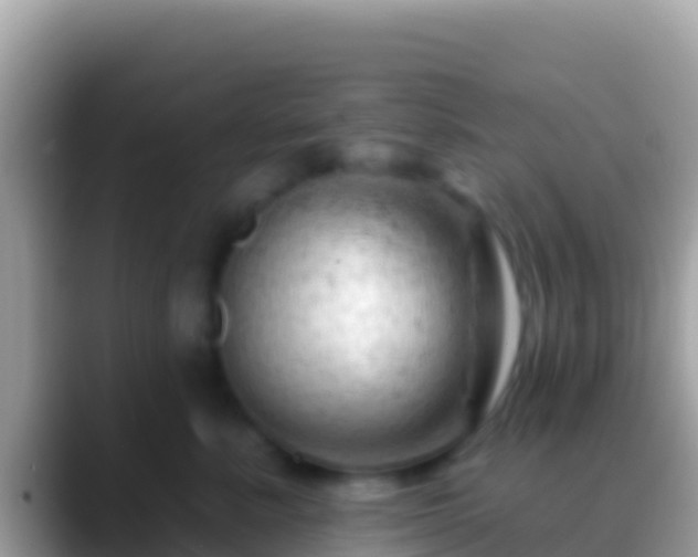 X0000088650619200706011222