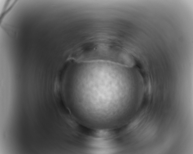 X0000088650623200706011222