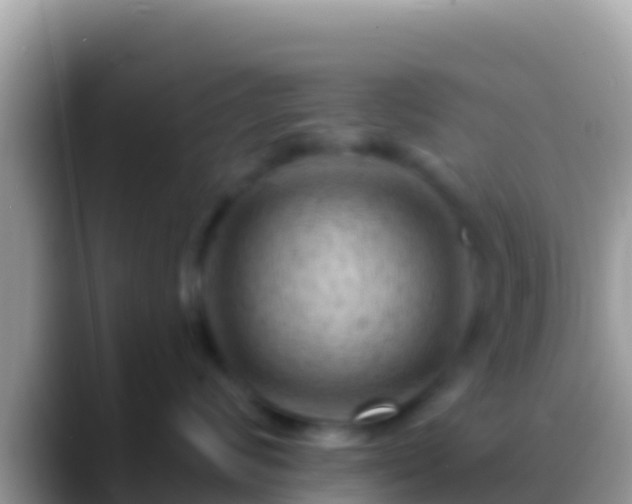 X0000088650624200706011222