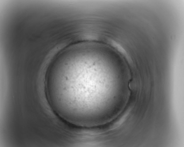 X0000088650625200706011221